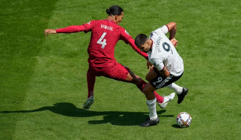 Aleksandar Mitrovic spinning Virgil van Dijk