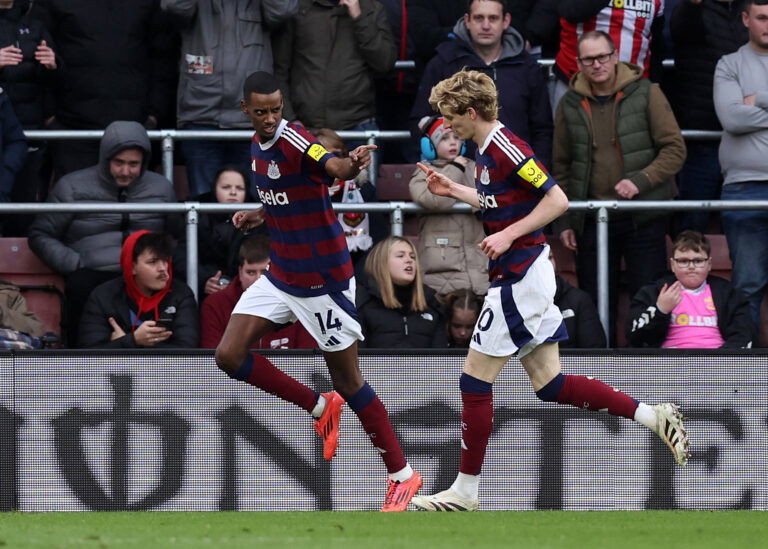 Southampton v Newcastle United - Premier League - St Mary's Stadium
