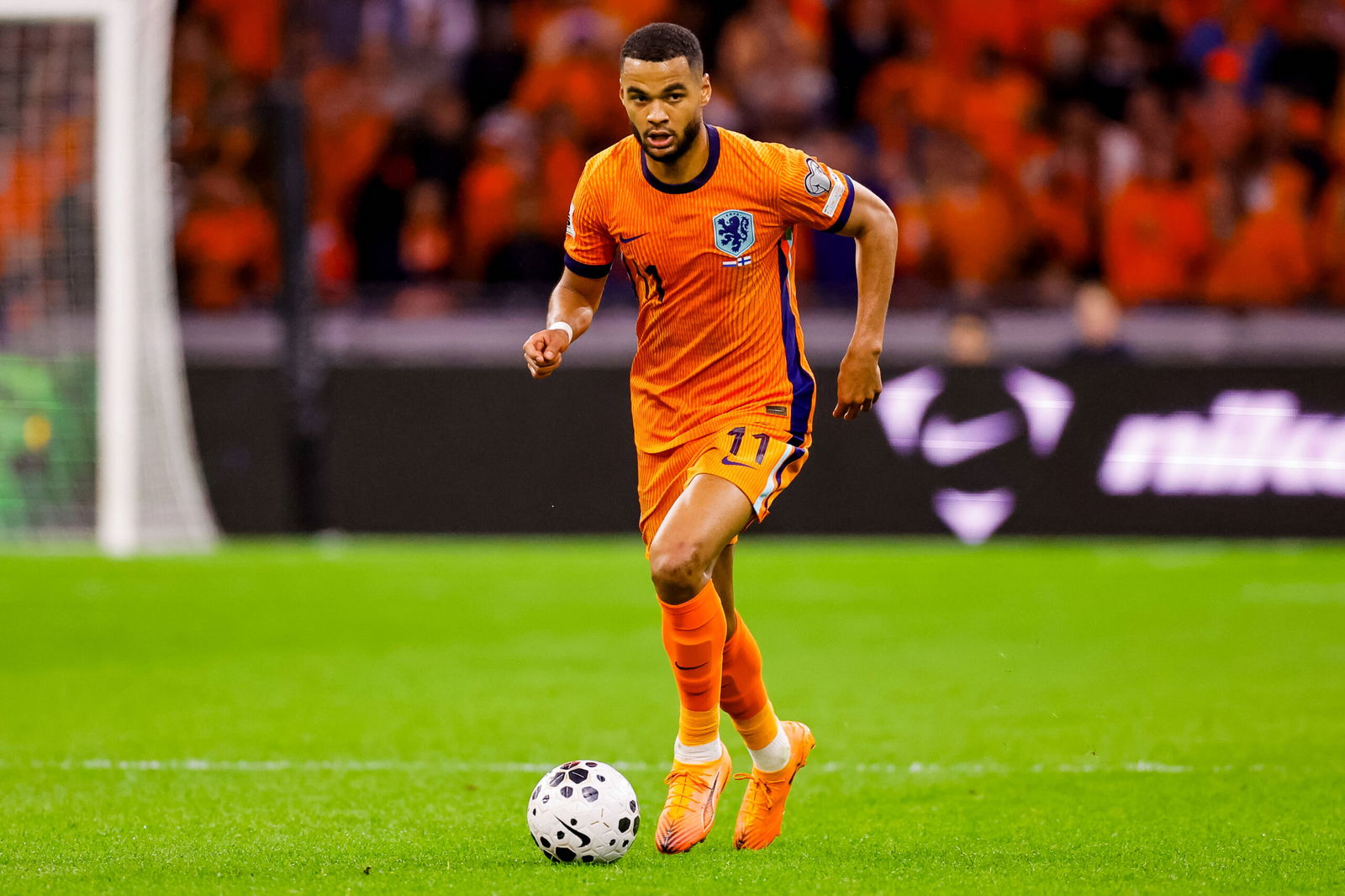 Liverpool star Cody Gakpo